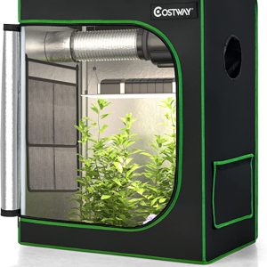 GrowBox